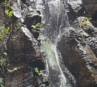 Inselrundfahrt Madeira