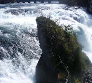 Aussichtsfelsen mitten im Rheinfall