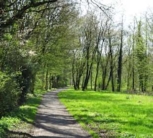 Spaziergang durch den Landschaftspark Wiesengrund