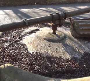 Aussenbereich - Töpfermühle