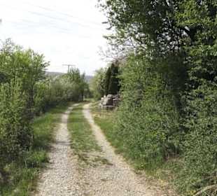 Wanderweg Firstwaldrunde