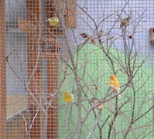 Irrland Bauernhof-Erlebnisoase