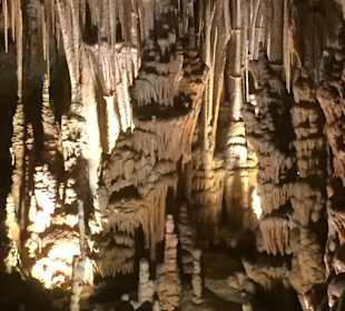 Drachenhöhle / Coves del Drac