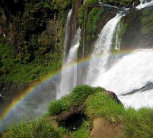 Regenbogen