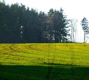 Kletterparadies in Kirchenbirkig