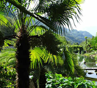 Im Palmengarten von Schloss Trauttmansdorff