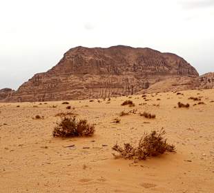 Wüstenlandschaft Wadi Rum