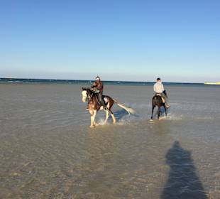 Ausritt ins Rote Meer