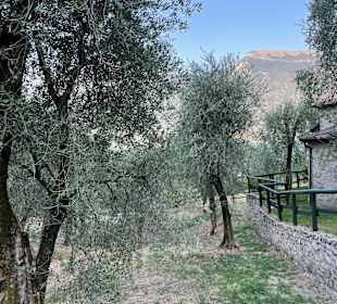 Wandern Limone