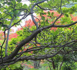 View from Marble Mountain