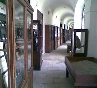 Excelentní minerály