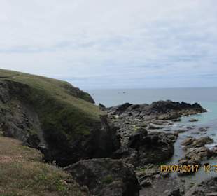 Lizard Point