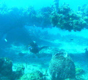 Tauchenam Shallow Plane Spot