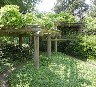 Parkanlage Planten un Blomen