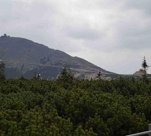 Berg Schneekoppe/Śnieżka