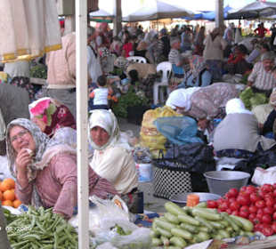 Viel frisches Genüse