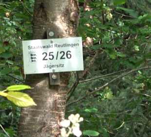 Sonnenaufgangs-Rundwanderung Rübgarten