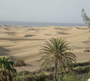 Dünen Maspalomas