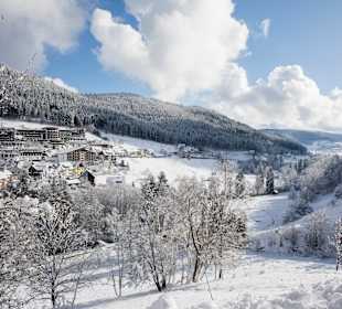 Wandern Bannwald Baiersbronn