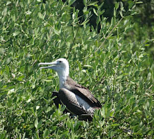 Wen haben wir denn hier