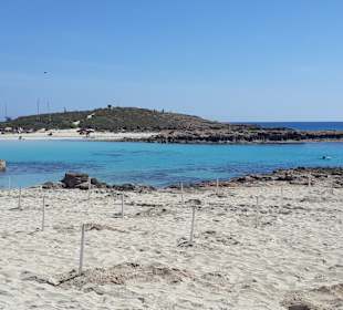 Nissi Island