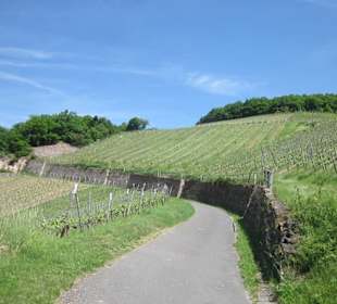 Impressionen Kräuterweg in Assmannshausen