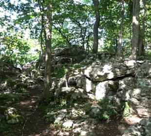 Premiumwanderweg "hochgelegen"