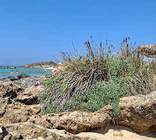 Pink Sand Beach Elafonissi