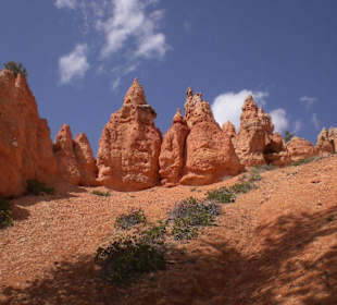 Im Bryce Canyon, traumhaft