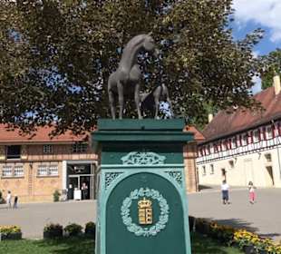 Haupt- und Landgestüt Marbach