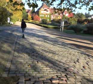 Botanischer Garten