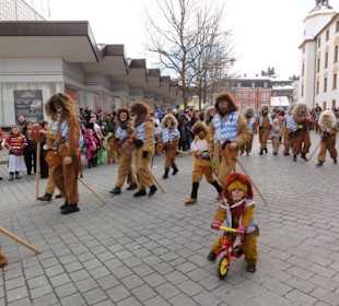 Kemptener Faschingsumzug 2015