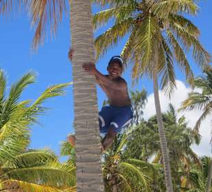 Affen gab es natürlich auch (Grins)