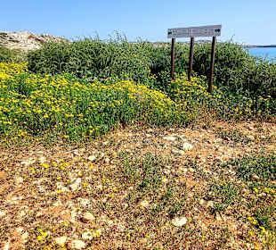 Nationalpark Kap Greco