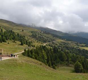 Der "Woody-Walk", im Hintergrund die Rossalm