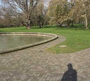 Springbrunnen im Schlosssee