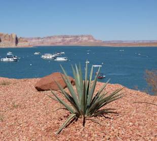 Lake Powell