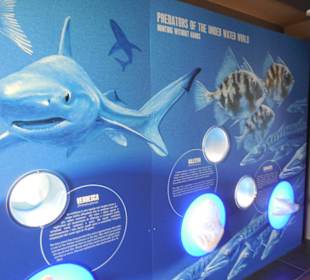 Aquarium Cala Gonone