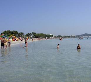 Strand von Alcudia