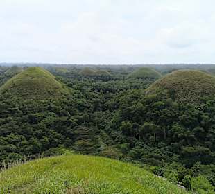 Chocolate Hills