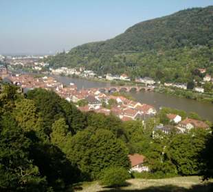 Sicht auf den Neckar vom Heidelberger Schloss