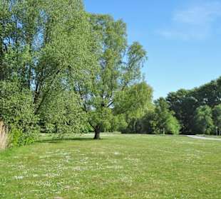 Liegewiesen am Spielmannsteich