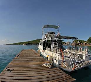 Caribbean Sea Sports