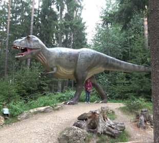 Dinosaurier Museum Altmühltal