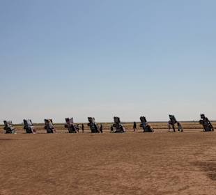 Mitten auf einem staubigen Acker..