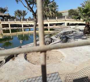 Djerba Explore Parc  Krokodilfarm