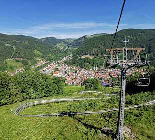 Rodelbahn Todtnau