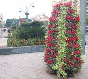 Malaga