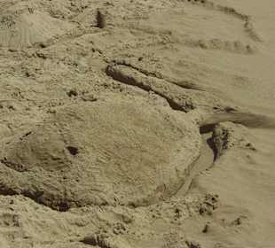 Alles Bauwerk von kleinen und großen Architekten