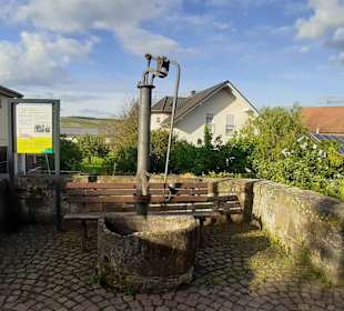 Historischer Brunnen in Bad Sobernheim